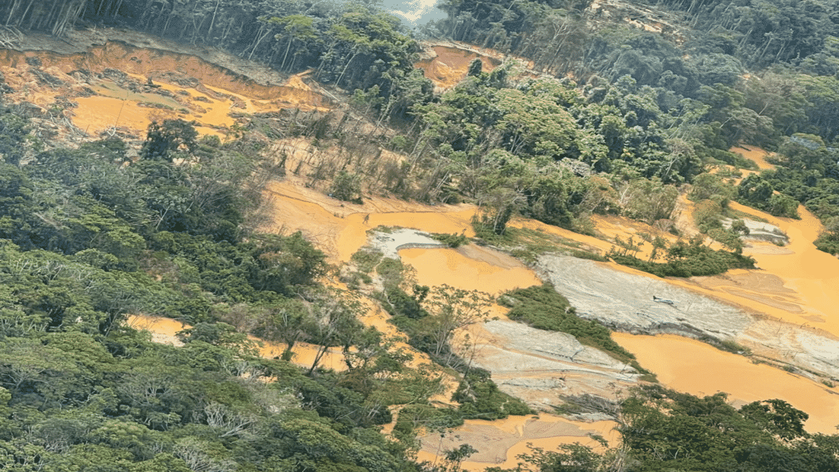 O decreto assinado pelo presidente para incentivar as atividades da mineração e do garimpo na região da Amazônia trará uma série de impactos ambientais e irá agravar os prejuízos da exploração mineral na floresta