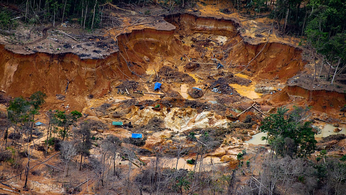 O decreto de apoio ao garimpo na Amazônia trará impactos ambientais irreversíveis causados pela mineração com a contaminação de mercúrio e ameaça os povos indígenas que vivem na região
