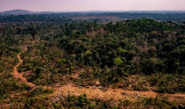 O Ministério Público do estado de Mato Grosso anunciou um pedido de suspensão da lei que aprova atividades do setor da mineração em áreas de reserva legal como forma de preservar o meio ambiente