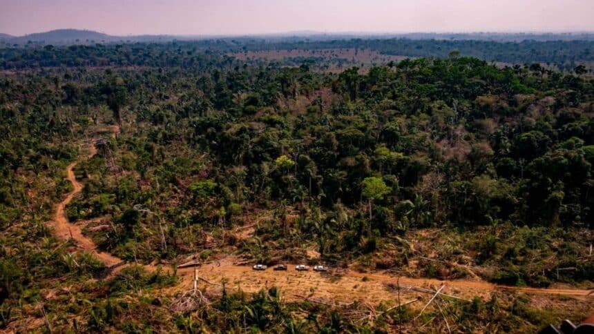 O Ministério Público do estado de Mato Grosso anunciou um pedido de suspensão da lei que aprova atividades do setor da mineração em áreas de reserva legal como forma de preservar o meio ambiente