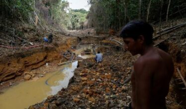 Após o apoio do presidente Jair Bolsonaro ao projeto de lei que flexibiliza a mineração e o garimpo dentro de terras indígenas no Brasil, organizações ambientalistas fazem denúncia à ONU e pedem providências