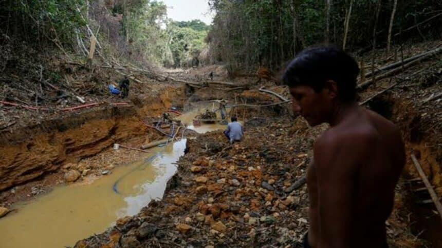Após o apoio do presidente Jair Bolsonaro ao projeto de lei que flexibiliza a mineração e o garimpo dentro de terras indígenas no Brasil, organizações ambientalistas fazem denúncia à ONU e pedem providências