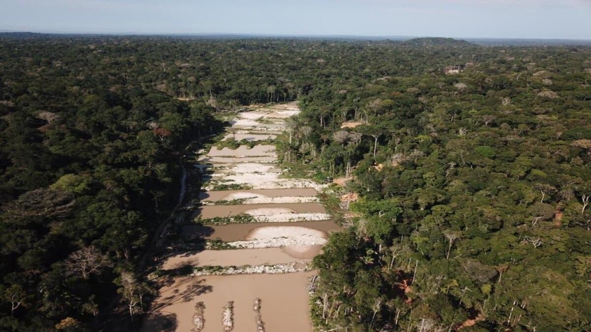 O Ibram e algumas mineradoras importantes no segmento brasileiro se posicionaram contrários à aprovação do projeto de lei que libera a mineração e o garimpo em terras indígenas no Norte do Brasil