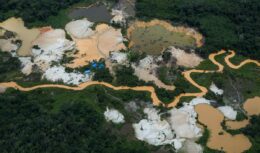 Amazônia Ouro simposio mineração mineral